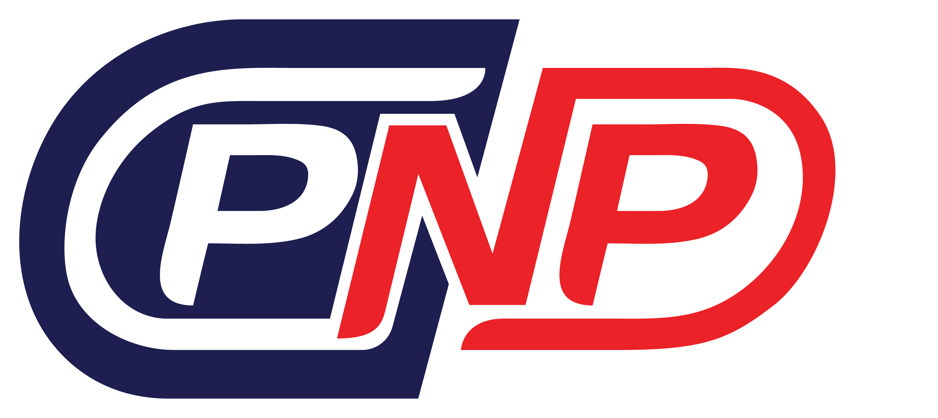 Pin Nam Phương Logo